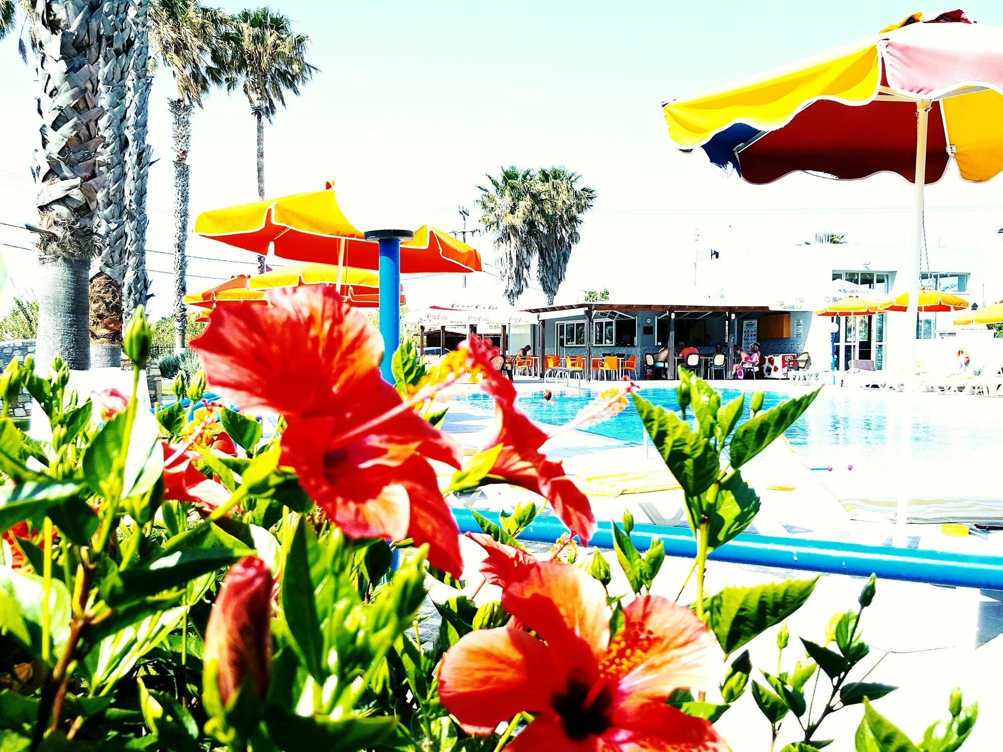 Athina Apartments And Bungalows コス・タウン エクステリア 写真