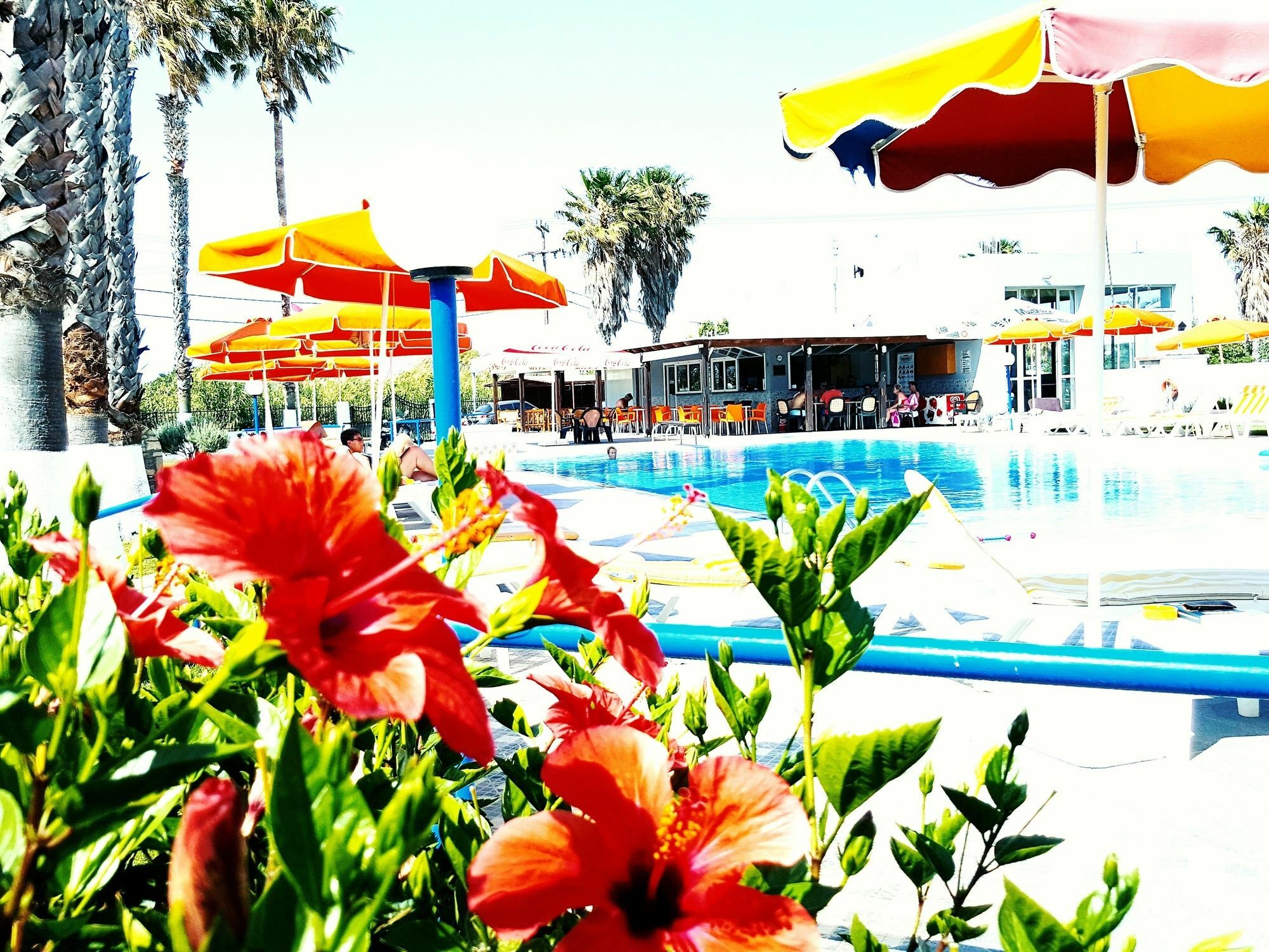 Athina Apartments And Bungalows コス・タウン エクステリア 写真